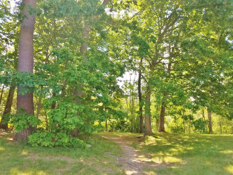 Hollis Crossing Condo for Sale! 11307 Bartemus Trail, Nashua, NH 03063