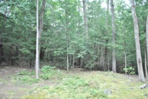 19 Gowing Lane, Amherst, NH 03031